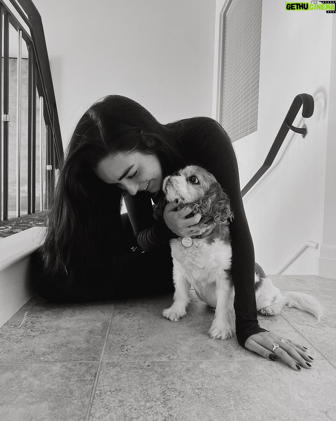 Indiana Massara Instagram - You always were the best boy. Run far and fast up there my love. Till I see you on the rainbow bridge angel 🤍