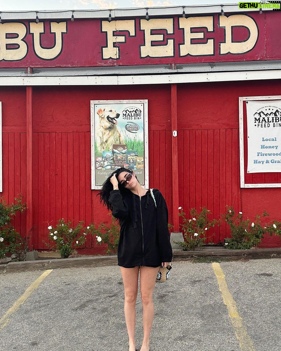 Indiana Massara Instagram - Friends, Food, Fun Los Angeles, California