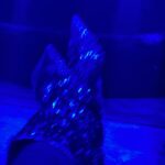 Indiana Massara Instagram - Heyyyyyyy Ms Carterrrrrr 🐝 @clubllondon SoFi Stadium