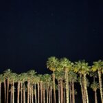 Indiana Massara Instagram - Lost in the thrill of it all. Coachella Music Festival
