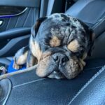 Indiana Massara Instagram - What if I fall? Oh, but my darling, What if you fly? Los Angeles, California
