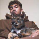 Ines Benazzouz Instagram - Bienvenu mon pote 🐕🤍 The Ace. 🐕 @lovetheace 📸 @alexipav 👕 @___rrxii