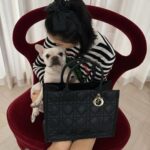 Irene Kim Instagram - @Dior adore 🖤 #광고 #DiorBookTote #DiorCruise
