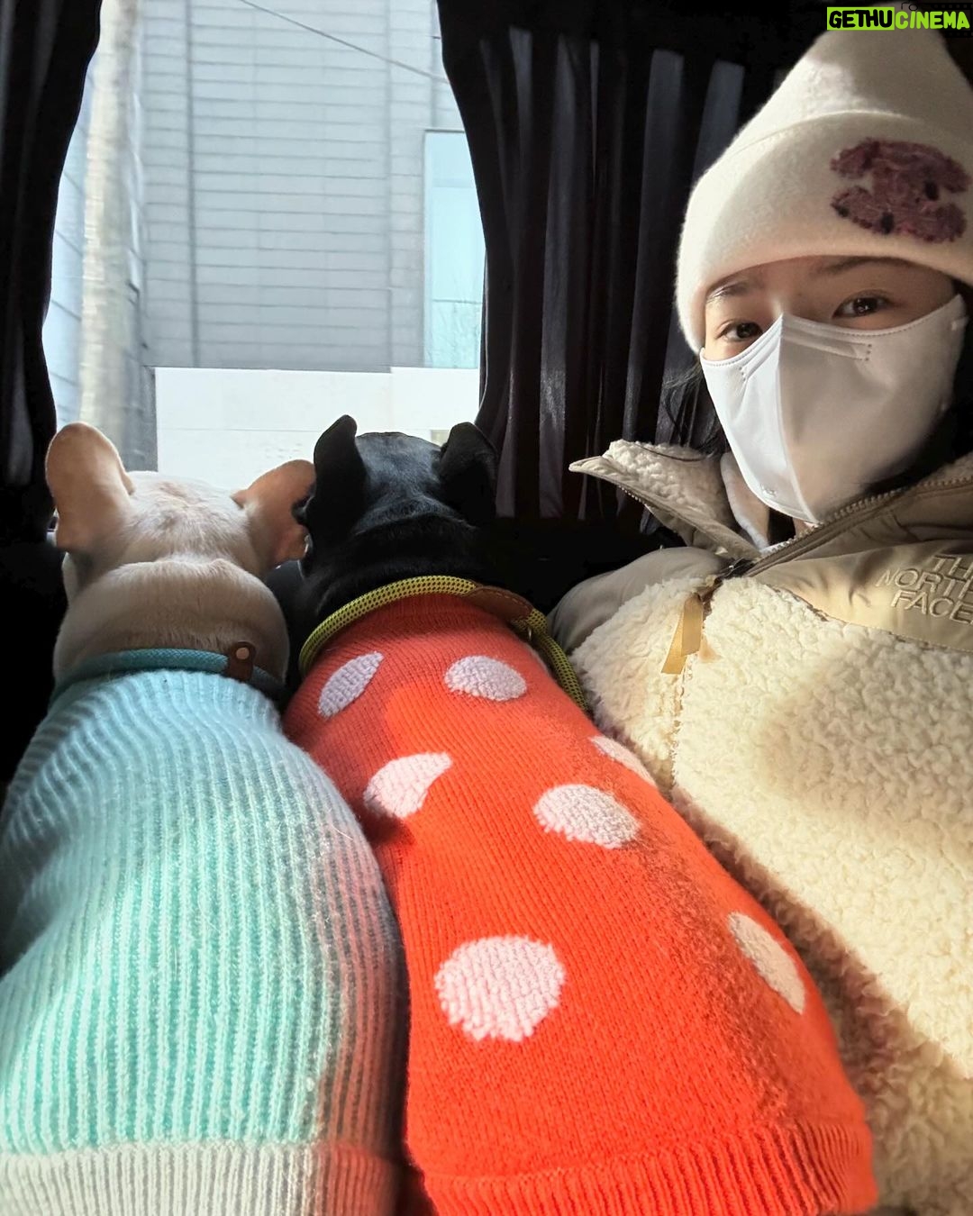 Irene Kim Instagram - Holiday feelsππ₯Ίππ
πΌππ¦π§πΌββοΈππ