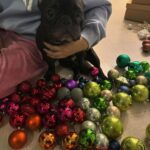 Irene Kim Instagram - Holiday feels🌈🥺🍓🎅🏼🍀🦄🧚🏼‍♀️🍄🎄