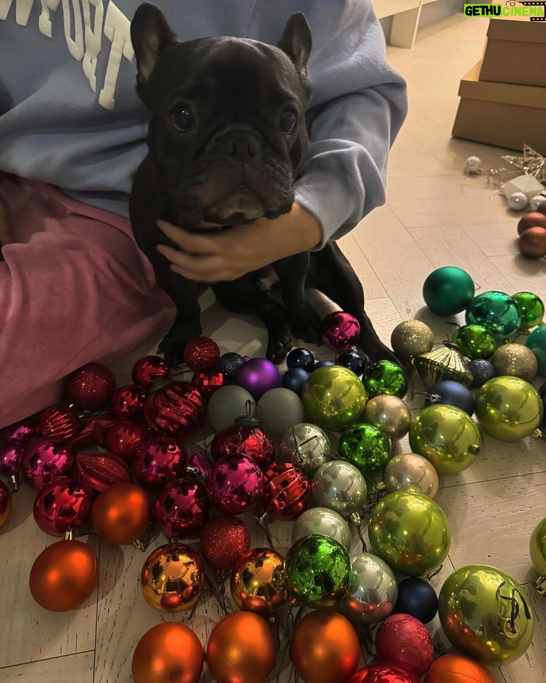 Irene Kim Instagram - Holiday feelsππ₯Ίππ
πΌππ¦π§πΌββοΈππ