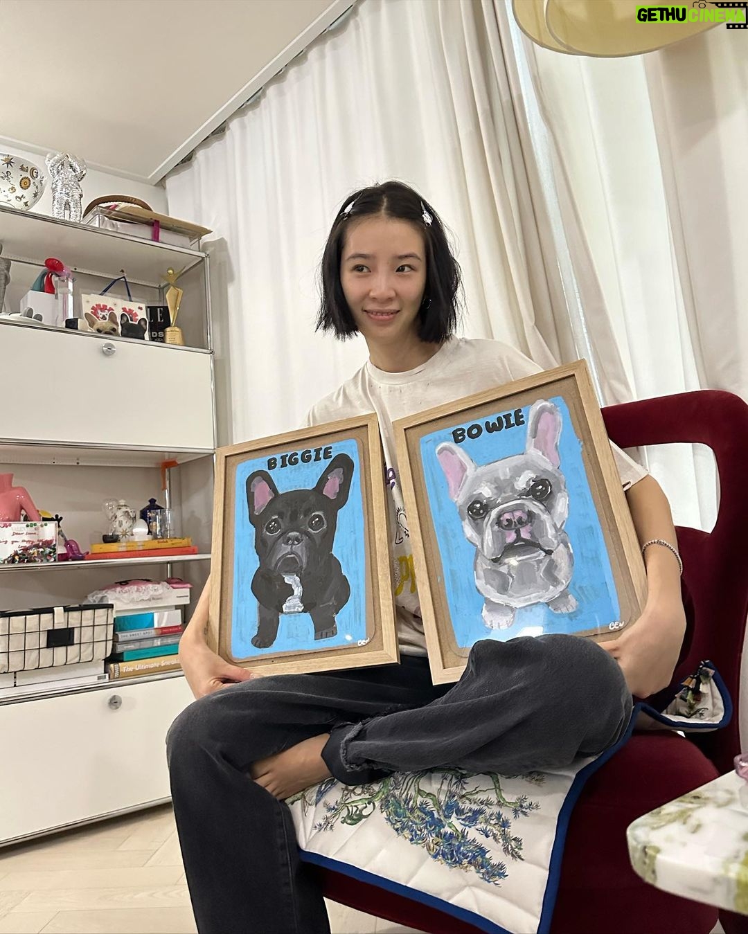 Irene Kim Instagram - The best gift ever. Thank you @benlenovitz for these adorable portraits of my Biggie & Bowie! I teared up when I saw theseโฆyou guys know how much Biggie & Bowie mean to me๐ฅฒ ์ ๊ฐ ํ๋ค๋, ์ฌํ๋, ํ๋ณตํ ๋ ๋ฌดํ ์ฌ๋์ ์ฃผ๋ ๋น๊ธฐ์ ๋ณด์ ํญ์ ๊ณ ๋ง์๐ฅบ ์ธ์์ ํ๋๋ฟ์ธ ์ฌ๋ํ๋ ๋ฐ๋ ค๋๋ฌผ์ ์ถ์ตํ ์ ์๋ ๊ฒฝํ์ ์ ์ธ๊ณ๋ฐฑํ์ ๋ง์ ๋จ๋
ํ์
์์ 10์4์ผ-22์ผ๊น์ง ๋ฐ๋ ค๋๋ฌผ ์ด์ํ ์ ๋ฌธ ์ํฐ์คํธ ๋ฒค ๋ ๋
ธ๋น์ธ ์ ๋ง๋๋ณผ์์์๋๋คโค๏ธโค๏ธโค๏ธ #๊ด๊ณ #์ ์ธ๊ณX๋ฒค๋ ๋
ธ๋น์ธ #๋ฒค๋ ๋
ธ๋น์ธ #๋ฐ๋ ค๋๋ฌผ์ด์ํ
