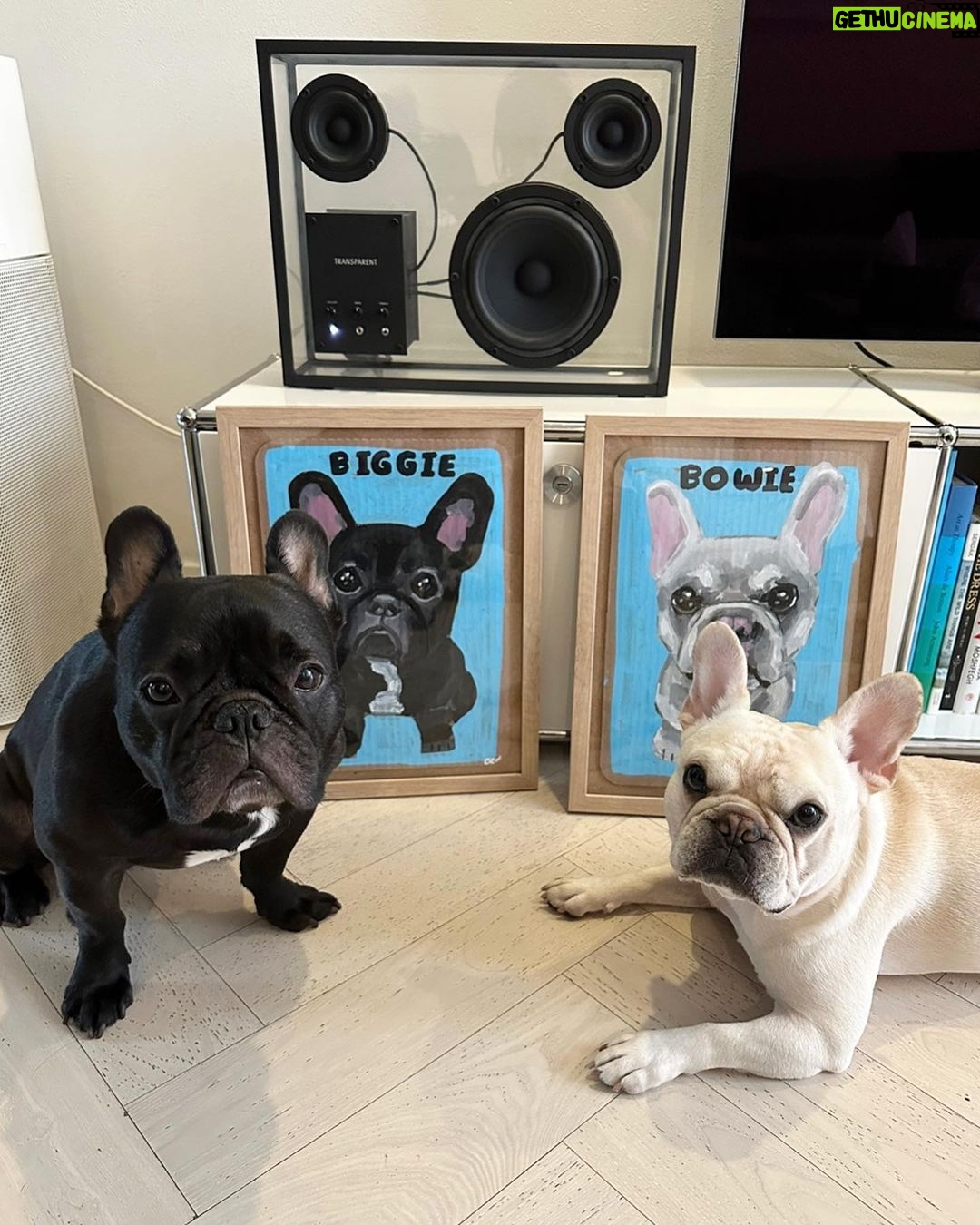 Irene Kim Instagram - The best gift ever. Thank you @benlenovitz for these adorable portraits of my Biggie & Bowie! I teared up when I saw theseโฆyou guys know how much Biggie & Bowie mean to me๐ฅฒ ์ ๊ฐ ํ๋ค๋, ์ฌํ๋, ํ๋ณตํ ๋ ๋ฌดํ ์ฌ๋์ ์ฃผ๋ ๋น๊ธฐ์ ๋ณด์ ํญ์ ๊ณ ๋ง์๐ฅบ ์ธ์์ ํ๋๋ฟ์ธ ์ฌ๋ํ๋ ๋ฐ๋ ค๋๋ฌผ์ ์ถ์ตํ ์ ์๋ ๊ฒฝํ์ ์ ์ธ๊ณ๋ฐฑํ์ ๋ง์ ๋จ๋
ํ์
์์ 10์4์ผ-22์ผ๊น์ง ๋ฐ๋ ค๋๋ฌผ ์ด์ํ ์ ๋ฌธ ์ํฐ์คํธ ๋ฒค ๋ ๋
ธ๋น์ธ ์ ๋ง๋๋ณผ์์์๋๋คโค๏ธโค๏ธโค๏ธ #๊ด๊ณ #์ ์ธ๊ณX๋ฒค๋ ๋
ธ๋น์ธ #๋ฒค๋ ๋
ธ๋น์ธ #๋ฐ๋ ค๋๋ฌผ์ด์ํ