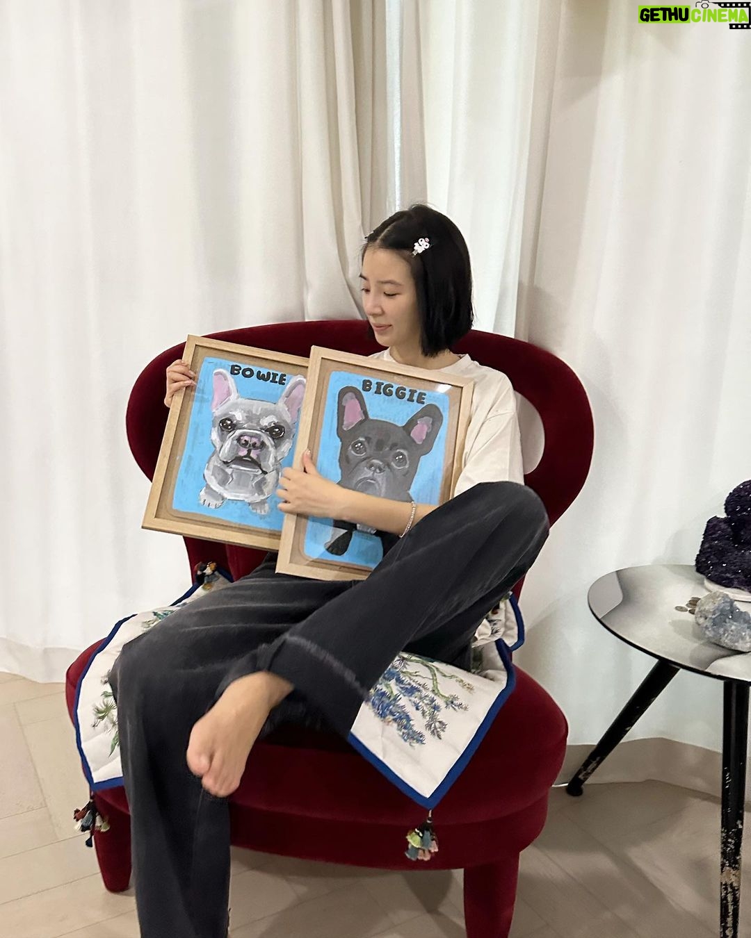 Irene Kim Instagram - The best gift ever. Thank you @benlenovitz for these adorable portraits of my Biggie & Bowie! I teared up when I saw theseโฆyou guys know how much Biggie & Bowie mean to me๐ฅฒ ์ ๊ฐ ํ๋ค๋, ์ฌํ๋, ํ๋ณตํ ๋ ๋ฌดํ ์ฌ๋์ ์ฃผ๋ ๋น๊ธฐ์ ๋ณด์ ํญ์ ๊ณ ๋ง์๐ฅบ ์ธ์์ ํ๋๋ฟ์ธ ์ฌ๋ํ๋ ๋ฐ๋ ค๋๋ฌผ์ ์ถ์ตํ ์ ์๋ ๊ฒฝํ์ ์ ์ธ๊ณ๋ฐฑํ์ ๋ง์ ๋จ๋
ํ์
์์ 10์4์ผ-22์ผ๊น์ง ๋ฐ๋ ค๋๋ฌผ ์ด์ํ ์ ๋ฌธ ์ํฐ์คํธ ๋ฒค ๋ ๋
ธ๋น์ธ ์ ๋ง๋๋ณผ์์์๋๋คโค๏ธโค๏ธโค๏ธ #๊ด๊ณ #์ ์ธ๊ณX๋ฒค๋ ๋
ธ๋น์ธ #๋ฒค๋ ๋
ธ๋น์ธ #๋ฐ๋ ค๋๋ฌผ์ด์ํ