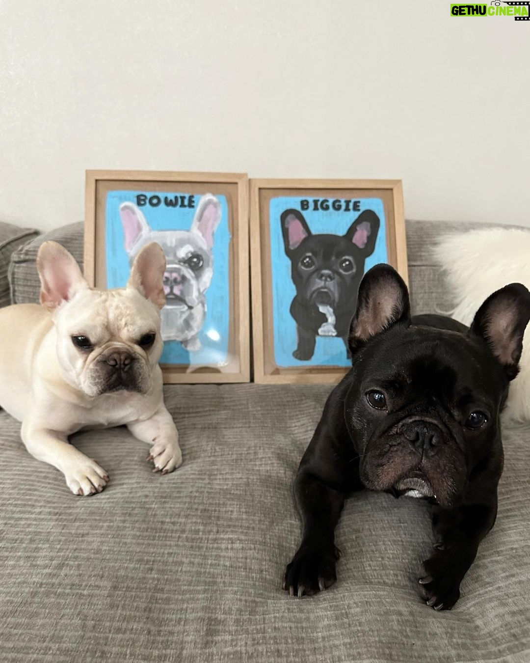 Irene Kim Instagram - The best gift ever. Thank you @benlenovitz for these adorable portraits of my Biggie & Bowie! I teared up when I saw theseโฆyou guys know how much Biggie & Bowie mean to me๐ฅฒ ์ ๊ฐ ํ๋ค๋, ์ฌํ๋, ํ๋ณตํ ๋ ๋ฌดํ ์ฌ๋์ ์ฃผ๋ ๋น๊ธฐ์ ๋ณด์ ํญ์ ๊ณ ๋ง์๐ฅบ ์ธ์์ ํ๋๋ฟ์ธ ์ฌ๋ํ๋ ๋ฐ๋ ค๋๋ฌผ์ ์ถ์ตํ ์ ์๋ ๊ฒฝํ์ ์ ์ธ๊ณ๋ฐฑํ์ ๋ง์ ๋จ๋
ํ์
์์ 10์4์ผ-22์ผ๊น์ง ๋ฐ๋ ค๋๋ฌผ ์ด์ํ ์ ๋ฌธ ์ํฐ์คํธ ๋ฒค ๋ ๋
ธ๋น์ธ ์ ๋ง๋๋ณผ์์์๋๋คโค๏ธโค๏ธโค๏ธ #๊ด๊ณ #์ ์ธ๊ณX๋ฒค๋ ๋
ธ๋น์ธ #๋ฒค๋ ๋
ธ๋น์ธ #๋ฐ๋ ค๋๋ฌผ์ด์ํ