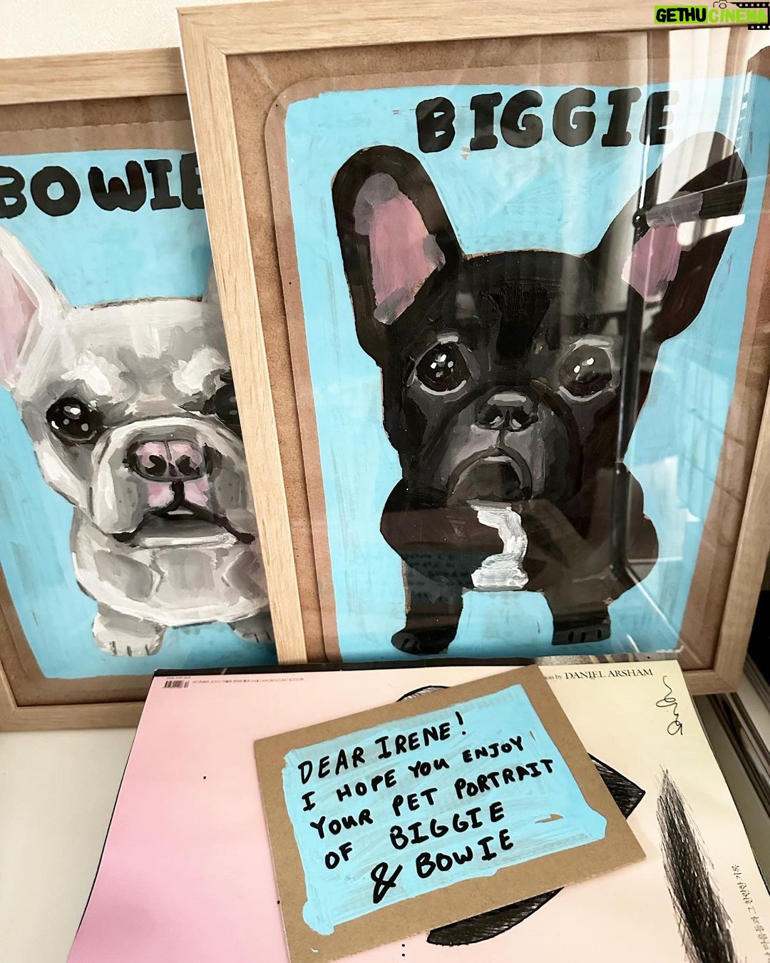 Irene Kim Instagram - The best gift ever. Thank you @benlenovitz for these adorable portraits of my Biggie & Bowie! I teared up when I saw theseโฆyou guys know how much Biggie & Bowie mean to me๐ฅฒ ์ ๊ฐ ํ๋ค๋, ์ฌํ๋, ํ๋ณตํ ๋ ๋ฌดํ ์ฌ๋์ ์ฃผ๋ ๋น๊ธฐ์ ๋ณด์ ํญ์ ๊ณ ๋ง์๐ฅบ ์ธ์์ ํ๋๋ฟ์ธ ์ฌ๋ํ๋ ๋ฐ๋ ค๋๋ฌผ์ ์ถ์ตํ ์ ์๋ ๊ฒฝํ์ ์ ์ธ๊ณ๋ฐฑํ์ ๋ง์ ๋จ๋
ํ์
์์ 10์4์ผ-22์ผ๊น์ง ๋ฐ๋ ค๋๋ฌผ ์ด์ํ ์ ๋ฌธ ์ํฐ์คํธ ๋ฒค ๋ ๋
ธ๋น์ธ ์ ๋ง๋๋ณผ์์์๋๋คโค๏ธโค๏ธโค๏ธ #๊ด๊ณ #์ ์ธ๊ณX๋ฒค๋ ๋
ธ๋น์ธ #๋ฒค๋ ๋
ธ๋น์ธ #๋ฐ๋ ค๋๋ฌผ์ด์ํ