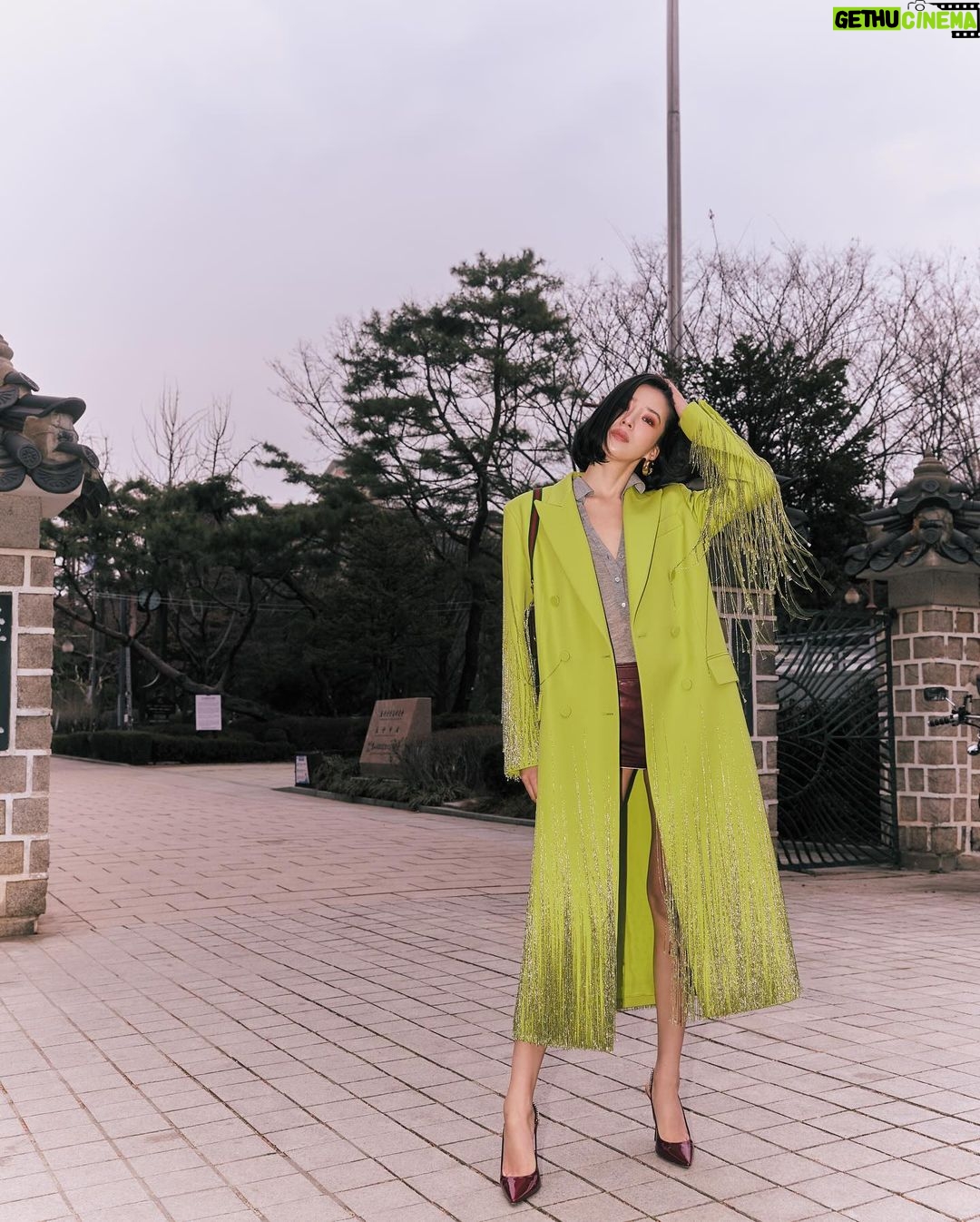 Irene Kim Instagram - @gucci shot by @euizinn_ 💚