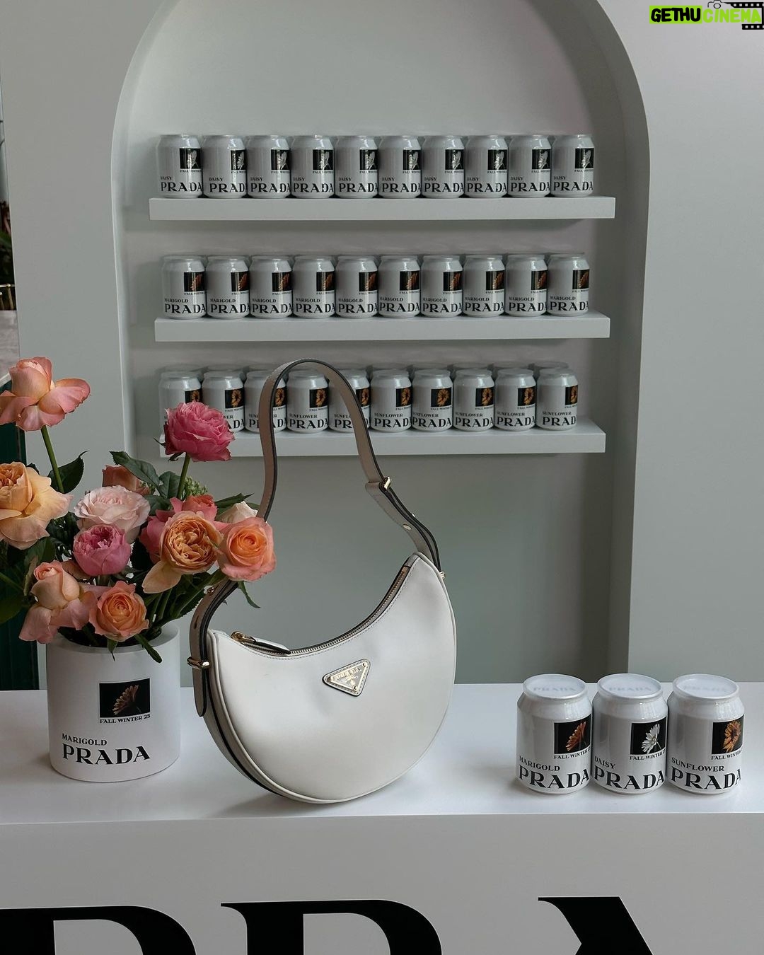 Irene Kim Instagram - Today I’m visiting the #PradaFW23 Kiosk in Jongro, Seoul. Flowers are the protagonists of the new @prada FW23 Campaign and a series of special initiatives that Prada is revealing in select international cities from September 14 to 16, 2023. 종로, 성수, 강남 까치화방에서 만나요!💐 @prada #PradaFW23 #adv 까치화방 종로타워