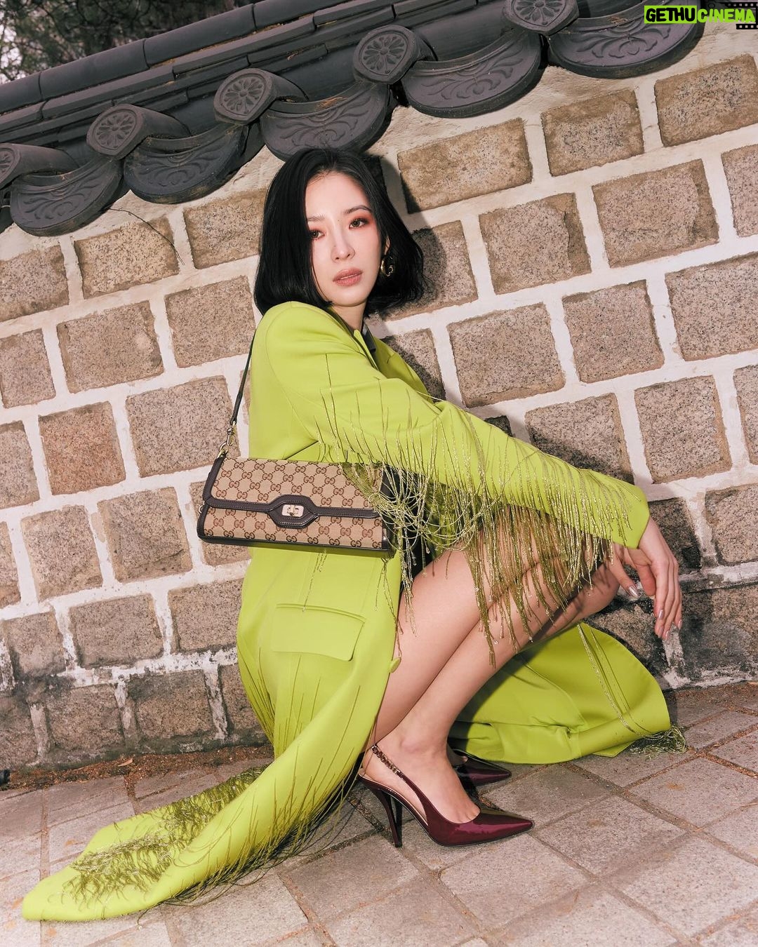 Irene Kim Instagram - @gucci shot by @euizinn_ 💚