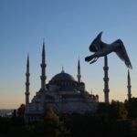 Iris Mittenaere Instagram - Merhaba Istanbul 🇹🇷🌍 La vibe de cette ville en quelques photos … laquelle est ta pref ? ( moi la 2 et la 8 😂 ) Photos retouchées ( couleurs ) İstanbul Turkey