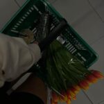 Iris Mittenaere Instagram – Pour les gens qui s’inquiètent et qui ont envie de dire : mais non, sport légumes pourquoi t’imposer cette vie atroce ?! 🥒💀
Promis j’ai pris des chips 😉😂