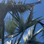 Isabella Moreira Instagram - te amo verão Presidente Epitácio