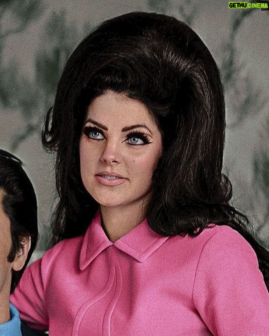 Isabella Moreira Instagram - Mãe, to na @capricho 🙈 e pra anunciar que vou interpretar Priscilla Presley no musical @oreidorock! Eu não consigo começar a explicar a felicidade que senti ao receber esse convite. Tava muuuuito difícil não contar pra vocês, mas agora prometo muitos conteúdos dos bastidores! Tá sendo um desafio muito divertido de encarar! Estreia dia 15/03 e ficamos em cartaz de quinta a domingo no Teatro Claro MAIS SP no Shopping Vila Olimpia. As vendas já estão abertas! Espero todos vocês lá 🥹🫶🏻 Garanta seu ingresso no site da @uhuu ou na bilheteria do Teatro Claro! Apresentado por @minc e @BradescoSeguros Apoio @premierpet 📸 : @stephansolon #oreidorockomusical #oreidorock #priscillabealieu #hproducoesculturais #andarilhofilmes #turbilhaodeideias #teatroclaroMAIS #março #premierpet #bradescoseguros #ministeriodacultura