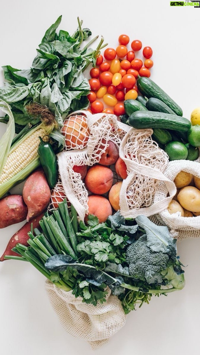 Isabella Santoni Instagram - Amanhã começa! 🚀💪🏼 Comenta Bella6 se ainda não entrou pra plataforma. Os preparativos já estão à todo vapor, comprinhas check! ✅ Se a nutri aprovou então tá tudo certo pra dar start né @jucolonese? 🥰