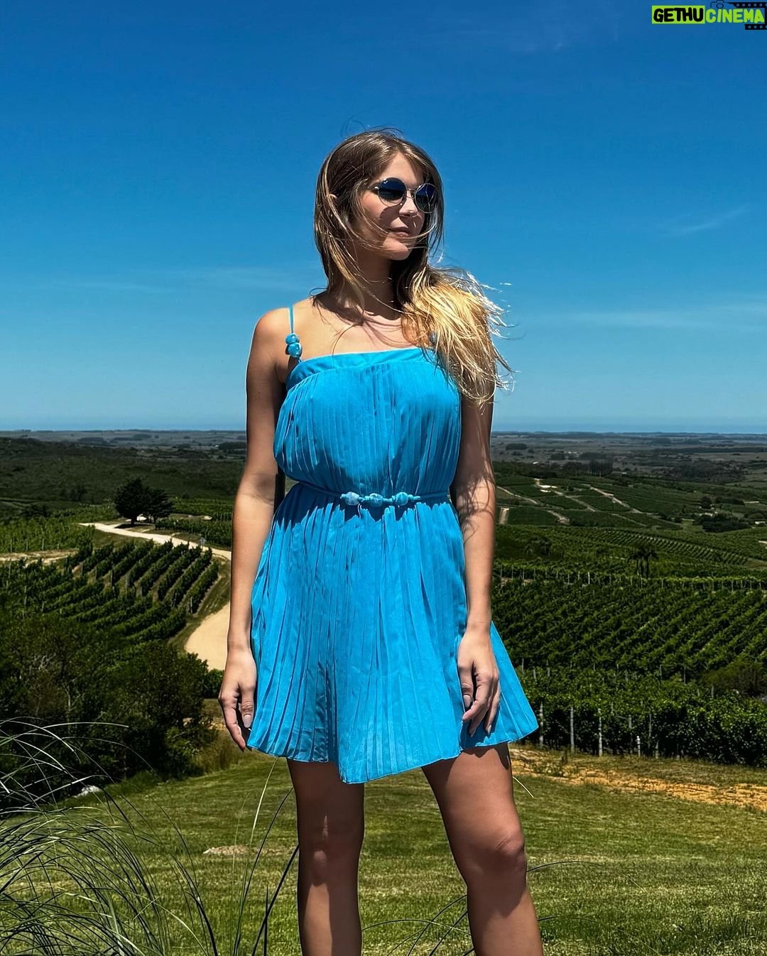 Isabella Santoni Instagram - Visitando um dos mais tradicionais vinhedos do Uruguai. @bodegagarzon tem um dos meus rosés preferidos, produzidos a partir da uva Pinot Noir! ✨💓🍇 Bodega Garzón