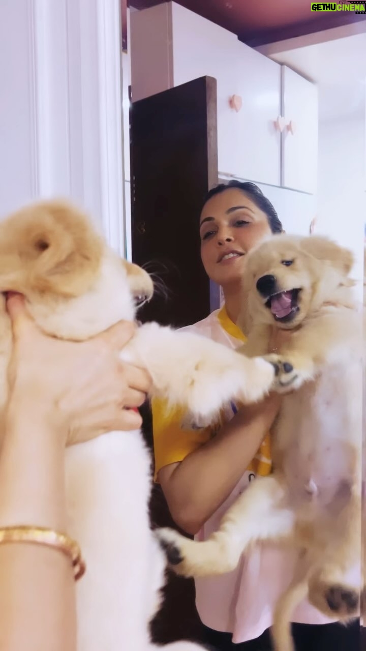 Isha Koppikar Instagram - When Boomerang was just a tiny pup and I could actually lift him up! 🐾😂 #Throwback #PuppyDays #PuppyTalks #JustForFun #Memories