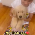 Isha Koppikar Instagram - Our version of Calm Down 🤣 @heisrema and @selenagomez , what do you think of it 🤣😍 #calmdown #boomerang #dogsofinstagram #doglover #doglife #cute #dailymoments #dogmom #happiness #love #fun
