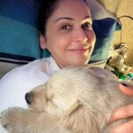 Isha Koppikar Instagram - My day starts and ends with Boomerangs cuddles 🥰 #boomerangdiaries #doggy #puppylove #mine #love #dogsofinstagram #cutedog