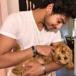 Ishaan Khattar Instagram - Yes we are furry happy rn