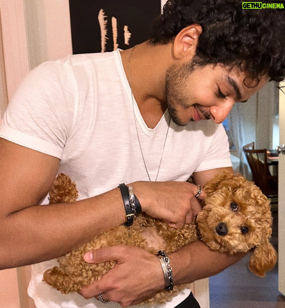Ishaan Khattar Instagram - Yes we are furry happy rn