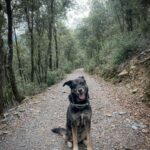 Ismael Prego Instagram – El día que me faltes vendré a estas fotos y sonreiré