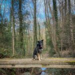Ismael Prego Instagram - El día que me faltes vendré a estas fotos y sonreiré