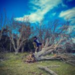 Ismael Prego Instagram – 🔎 How to leave society and live in the woods 🔜🦀