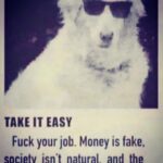 Ismael Prego Instagram – 🔎 How to leave society and live in the woods 🔜🦀