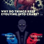Ismael Prego Instagram – 🔎 How to leave society and live in the woods 🔜🦀