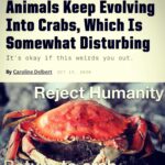 Ismael Prego Instagram – 🔎 How to leave society and live in the woods 🔜🦀