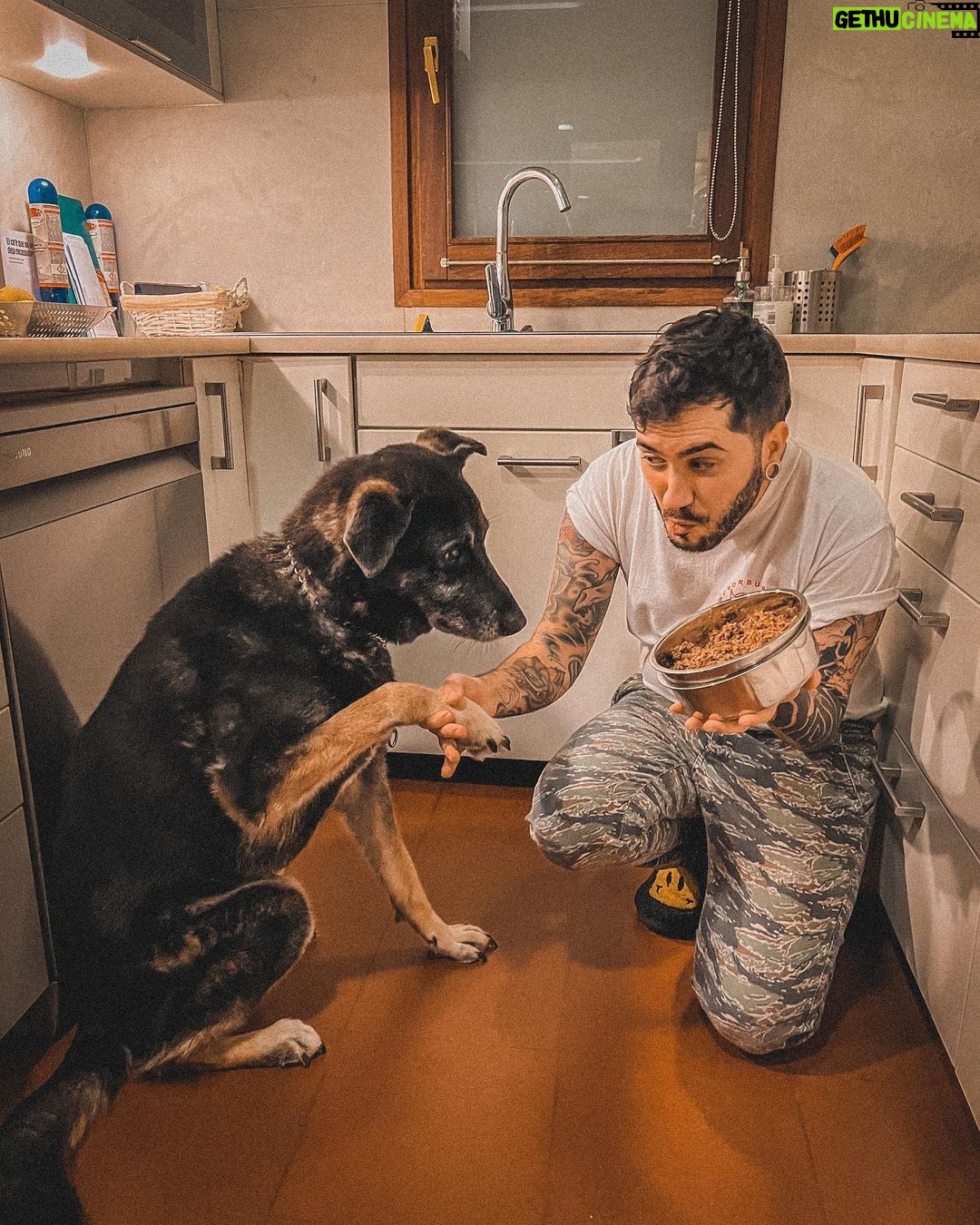 Ismael Prego Instagram - GANADORA: @juana_montana Impactantes imagenes del momento en el que le expliqué a mi perro que no volvería a comer pienso todos los días. Lamentablemente a Blacky le da igual lo que le diga, en cuanto le preparo uno de sus menús diarios ya tan solo le importa devorarlo. Si queréis probar @dogfydiet estáis de suerte, ya que voy a sortear 3 meses de comida gratis para uno de vuestros peludos. ¿Qué tenéis que hacer para participar? 1. Seguir a @dogfydiet y a @wismichu 2. Etiquetar a dos amigos a quienes les pueda interesar 3. Compartir en stories etiquetando a @dogfydiet y a mi para tener más posibilidades de ganar. *Este viernes anunciamos el ganador.* *Para los que no ganéis tenéis el código de descuento WISMICHU10 con el que conseguiréis un 10% de descuento* PD: si además en las storys subís una foto de vuestros peludos, yo os daré puntos extra #ad