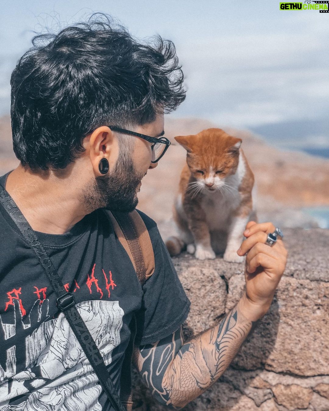 Ismael Prego Instagram - Os echo mucho de menos gatitos griegos 😢