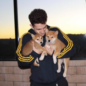 Issa Twaimz Instagram - i would like you to meet my puppies, rocket and jet🚀🛩 thank you for making me happy