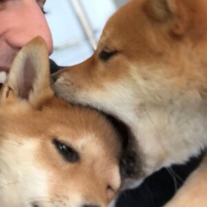 Issa Twaimz Instagram - i would like you to meet my puppies, rocket and jet🚀🛩 thank you for making me happy