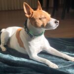 Issa Christopher Tweimeh Instagram - turbo bein a whole mood for 4 pictures straight
