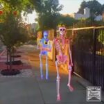 Issa Christopher Tweimeh Instagram - the hallowissa song goes with EVERY SINGLE VIDEO WTFSHSHAHAHA