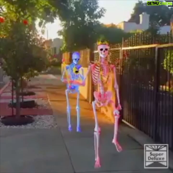 Issa Christopher Tweimeh Instagram - the hallowissa song goes with EVERY SINGLE VIDEO WTFSHSHAHAHA