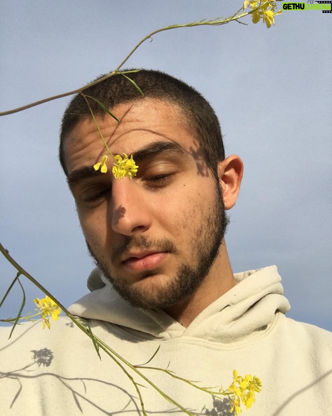 Issa Christopher Tweimeh Instagram - sunshine
