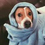 Issa Christopher Tweimeh Instagram - my baby turbo💫