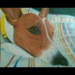 Issa Christopher Tweimeh Instagram - A loyal best friend.