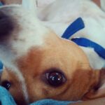 Issa Christopher Tweimeh Instagram - rest in paradise turbo
