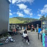 Isyana Sarasvati Instagram - More strolling around windy Wellyyy 🌬️ Wellington, New Zealand