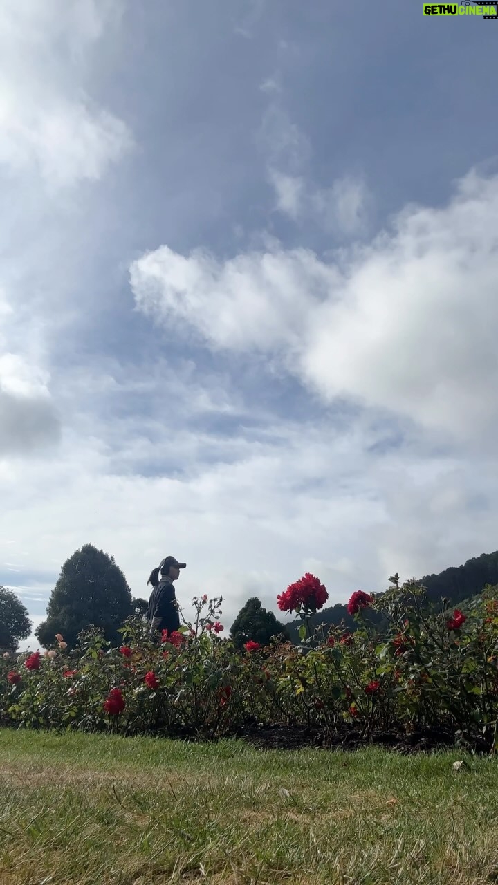 Isyana Sarasvati Instagram - Salah satu caraku menyayangi diriku. Strolling around beautiful places, all by myself. Menikmati sembari kembali mendekatkan diri dengan alam dan teman-temannya 🤍 Wellington, New Zealand