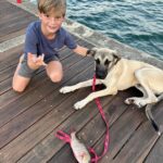 Ivanka Trump Instagram - A couple of weeks ago we brought Simba, our big hearted and goofy German Shepherd-Lab mix, home from Big Dog Ranch Rescue. This little warrior puppy was found abandoned and emaciated alongside a highway in Alabama. Simba joins Winter 🐶 and Chester 🐹, another furry friend who recently joined the family. Welcome to the crew, Simba! 🐾🐶💙🏡 Miami, Florida