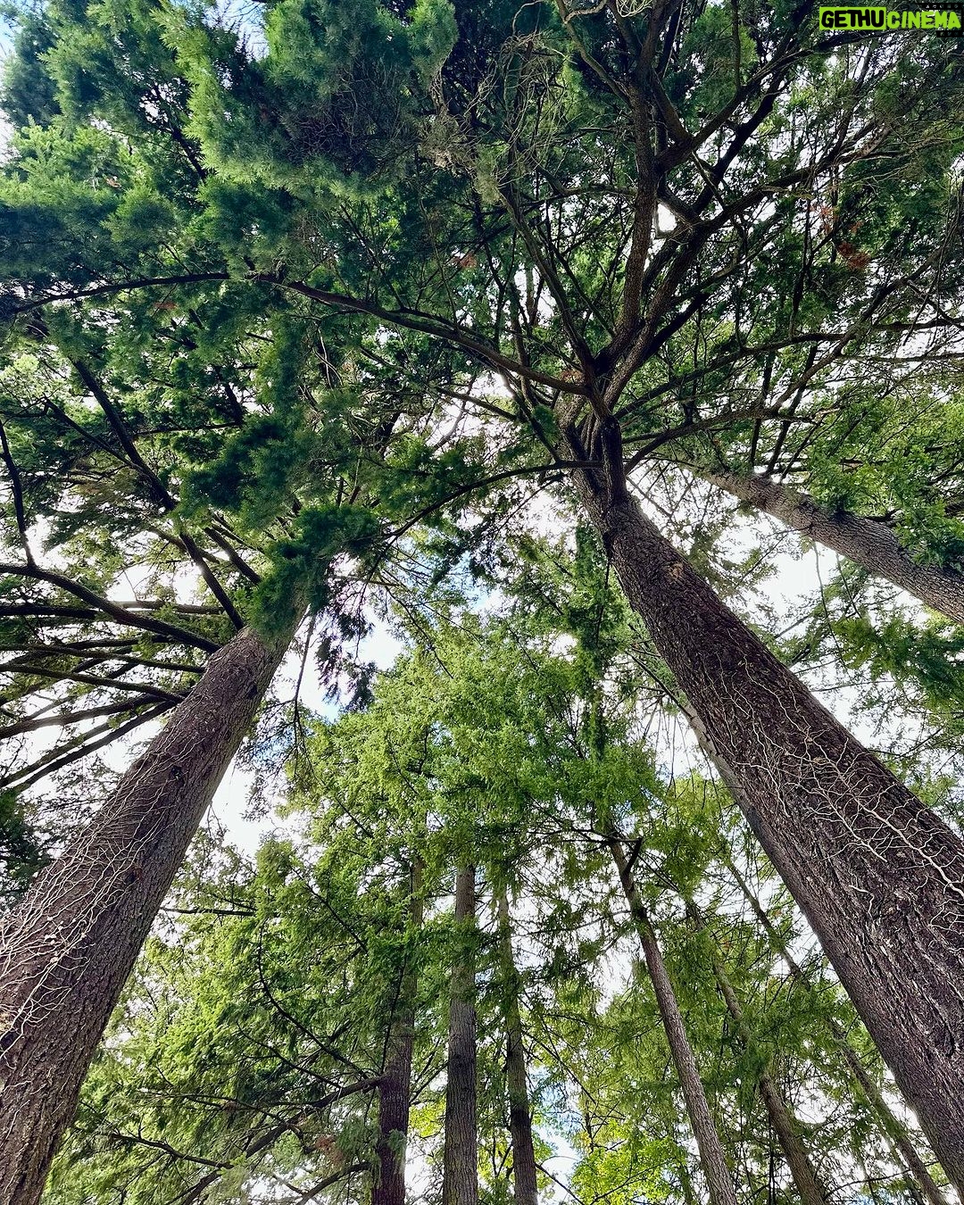 Ivanka Trump Instagram - Portland, Oregon 💚
